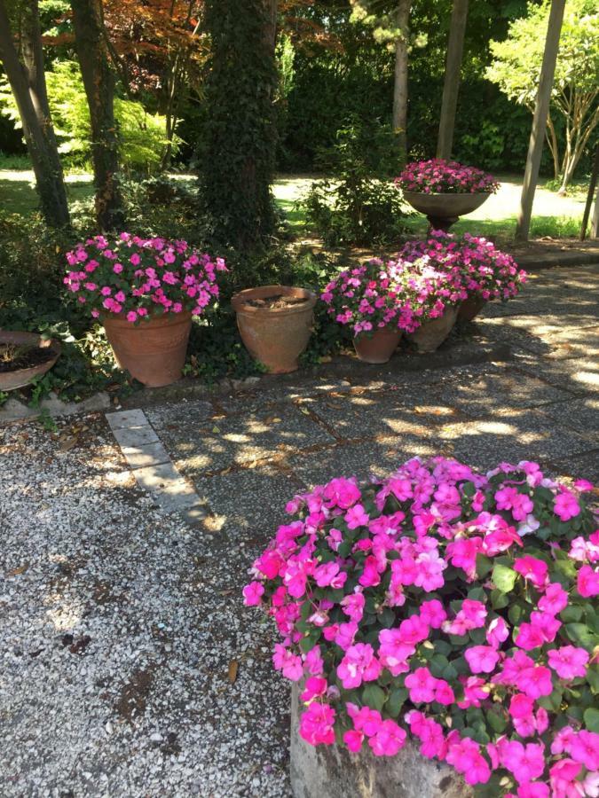 Corte Posta B&B - Parcheggio E Bagno In Camera Mantova Eksteriør billede